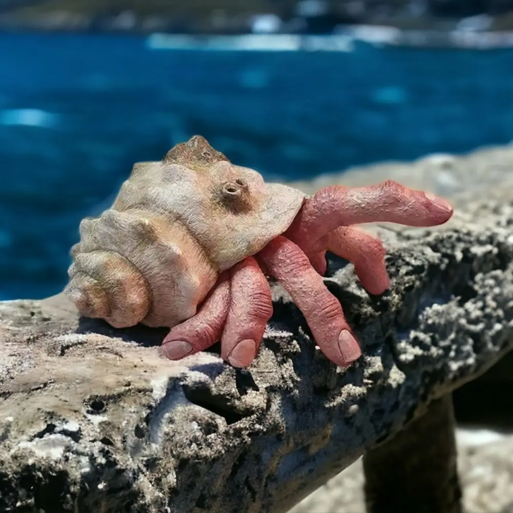 Realistic Resin Finger Crab Simulation Colorful Parasitic Finger Crab Snail Conch Shell Hermit Crab Toys Autism 
Realistic Resin Finger Crab Simulation Colorful Parasitic Finger Crab Snail Conch Shell Hermit Crab Toys Autism