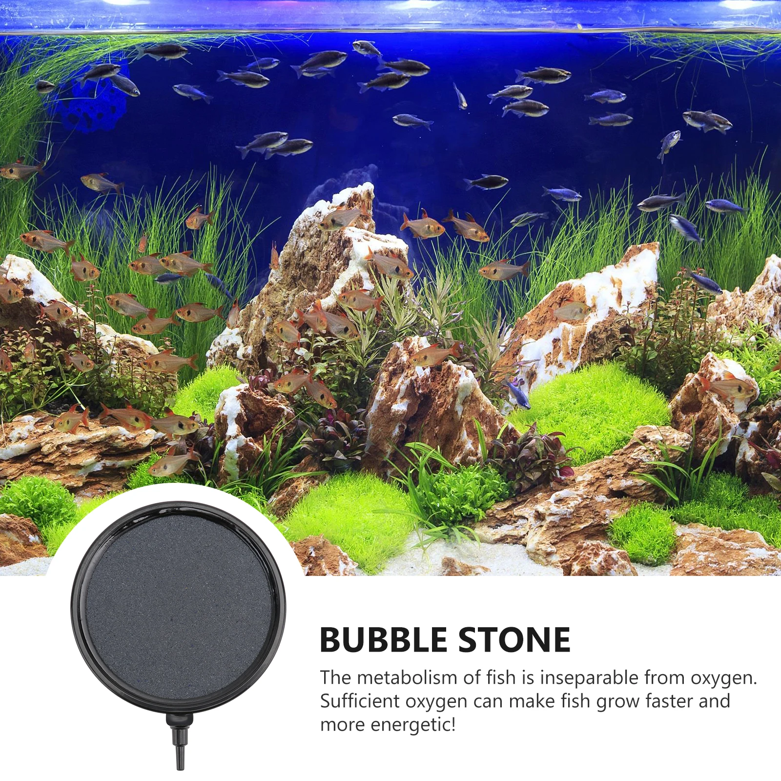 High Temperature Bubble Stone Disc 21cm Random Color for Aquarium Fish Tank Oxygen Air Pump Pet Supplies
High Temperature Bubble Stone Disc 21cm Random Color for Aquarium Fish Tank Oxygen Air Pump Pet Supplies