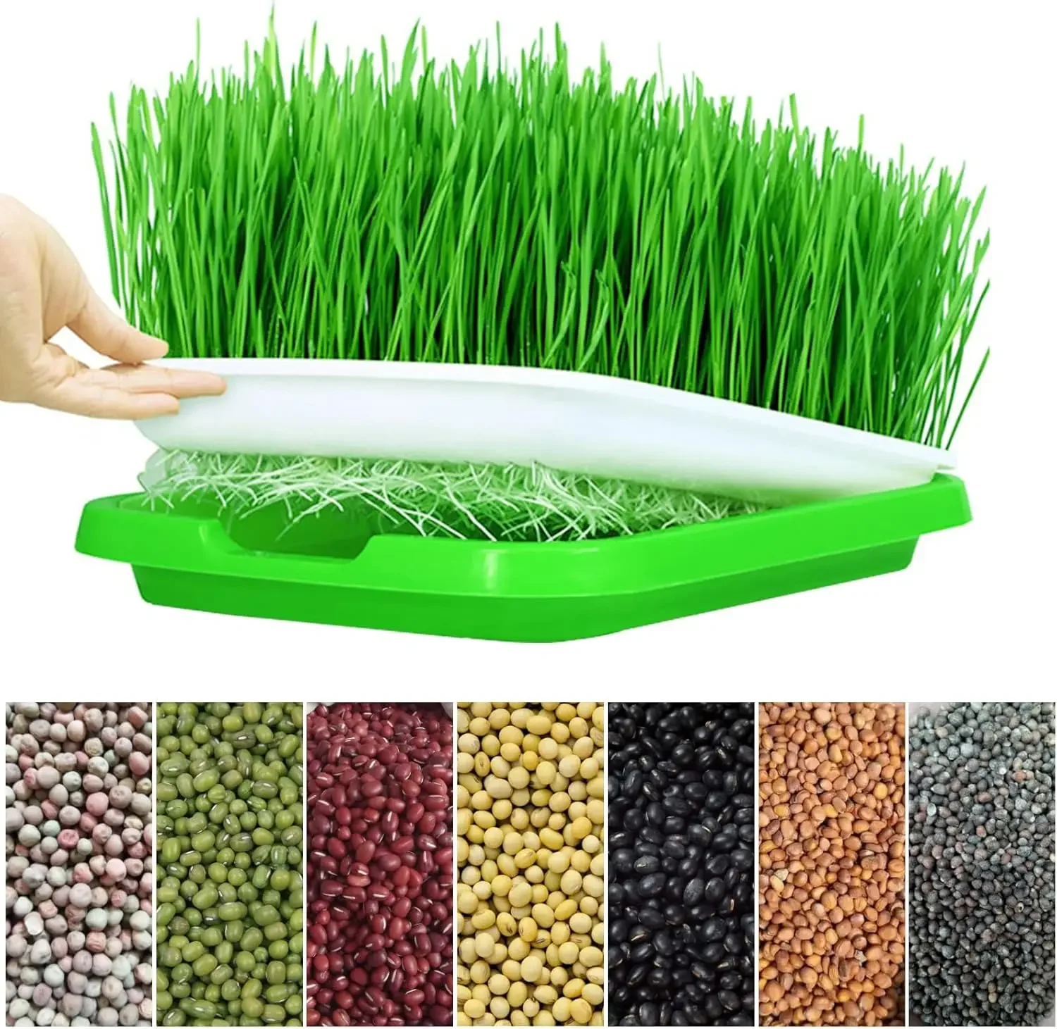 Microgreens Sprouter Tray Hydroponic / Sprouting Tray For Sprout Horticultural Hydroponic Systems Tray Garden Nursery Potted Mic
Microgreens Sprouter Tray Hydroponic / Sprouting Tray For Sprout Horticultural Hydroponic Systems Tray Garden Nursery Potted Mic