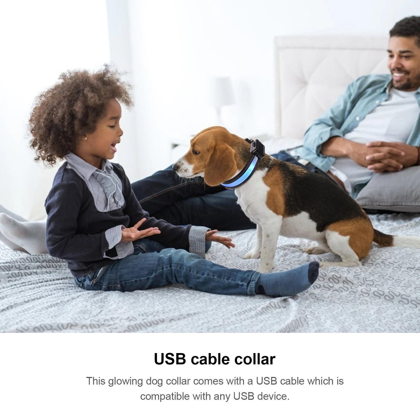 Glowing Dog Collar LED Light Up Flashing Puppy Collar Solar Night Safety Blue USB Rechargeable Pet Supplies Dog Necklace
Glowing Dog Collar LED Light Up Flashing Puppy Collar Solar Night Safety Blue USB Rechargeable Pet Supplies Dog Necklace