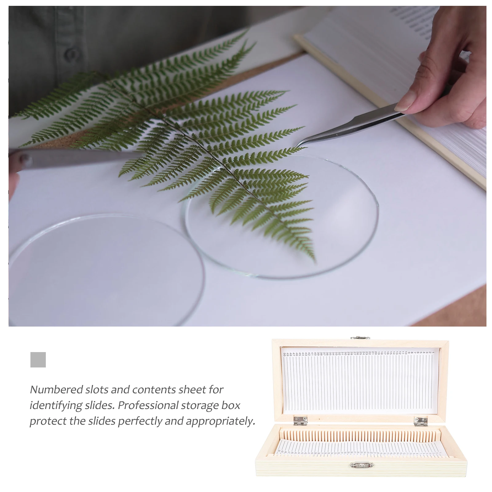 Bioslide Box Microscope Slides Case Storage Holder Biology Preparation Kit Boxes
Bioslide Box Microscope Slides Case Storage Holder Biology Preparation Kit Boxes