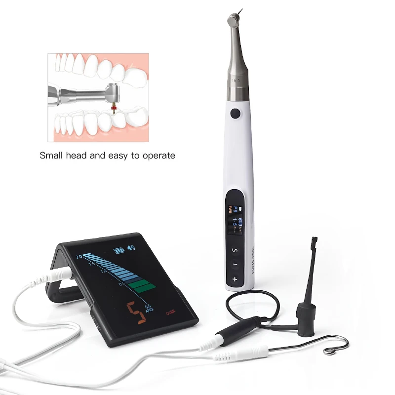 Wireless Dental 360° Rotating Endodontic Motor For 16:1 Contra Angle And Apex Locator
Wireless Dental 360° Rotating Endodontic Motor For 16:1 Contra Angle And Apex Locator