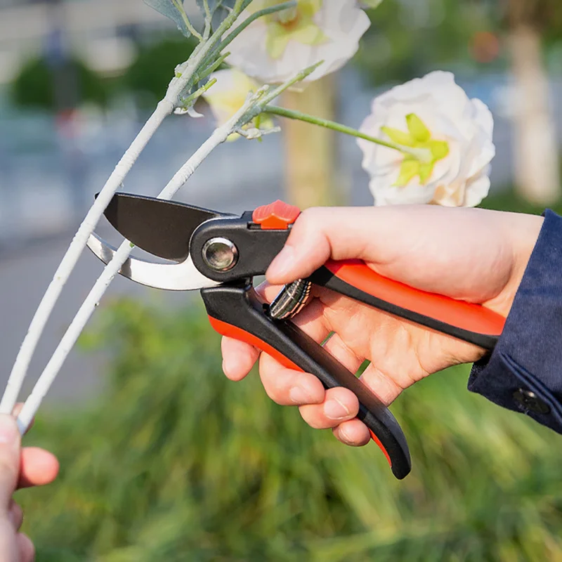 Deli Tools 8/8.5 Inch Garden Pruner Tree Branch Shears Stainless Steel Scissors Gardener Professional Secateur Pruning Shears
Deli Tools 8/8.5 Inch Garden Pruner Tree Branch Shears Stainless Steel Scissors Gardener Professional Secateur Pruning Shears