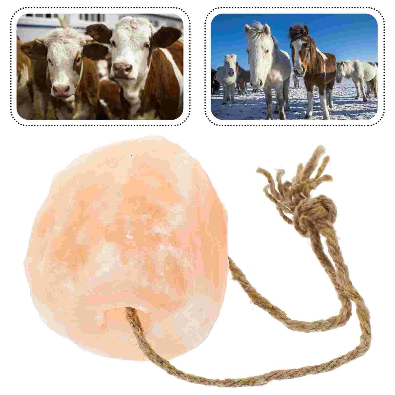 Animal Lick Salt Block Animals Livestock Food Supply Pets The Natural Brick Chew Supplies
Animal Lick Salt Block Animals Livestock Food Supply Pets The Natural Brick Chew Supplies
