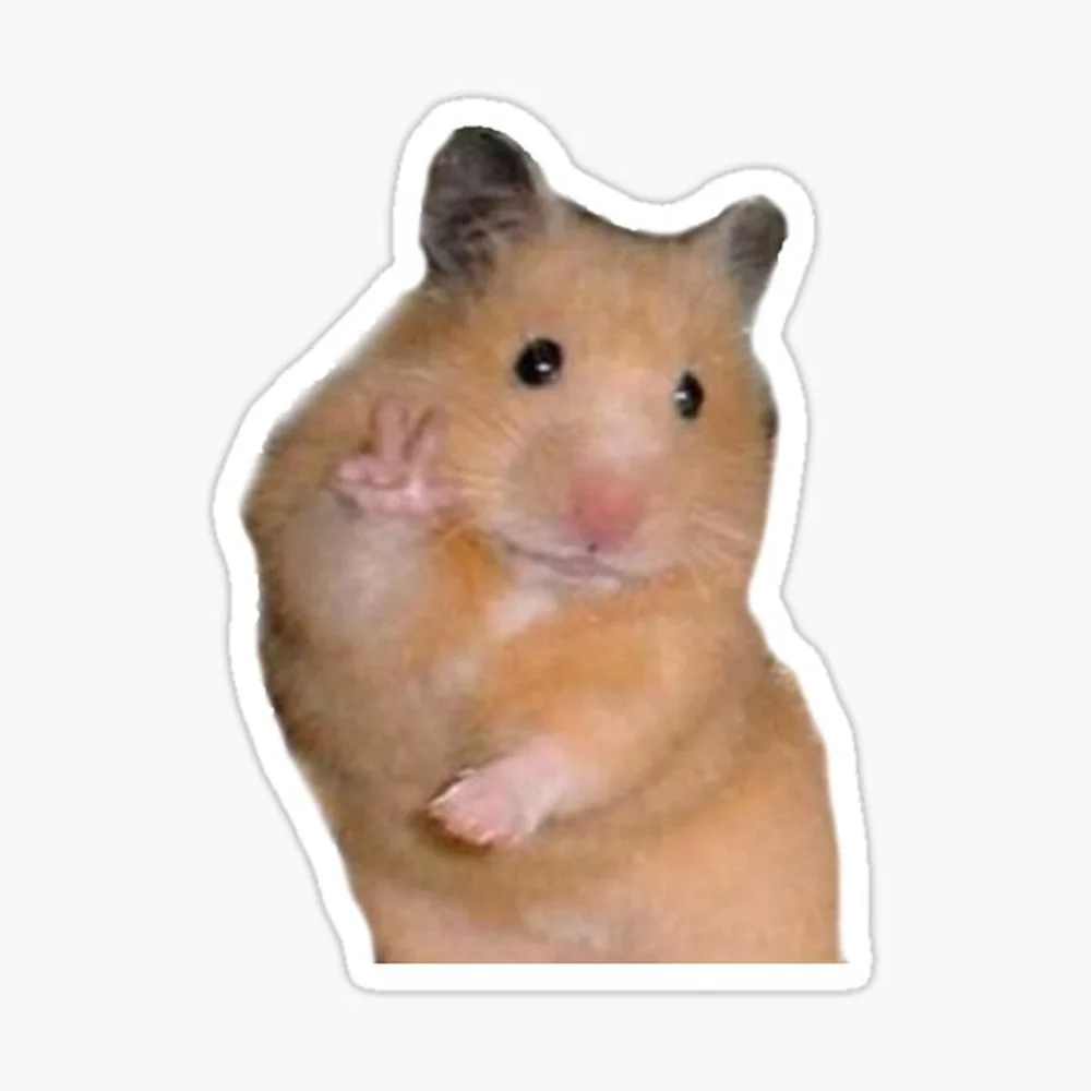 Peace Hamster Meme Sticker for Laptop Decor Bedroom Car Cute Cartoon Art Fashionable Public Suitcase
Peace Hamster Meme Sticker for Laptop Decor Bedroom Car Cute Cartoon Art Fashionable Public Suitcase