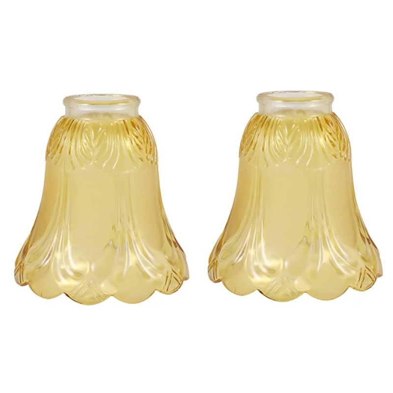 BYBS-2PCS Ceiling Fan Chandelier Frosted And Clear Glass Light Lamp Shade Replacement
BYBS-2PCS Ceiling Fan Chandelier Frosted And Clear Glass Light Lamp Shade Replacement