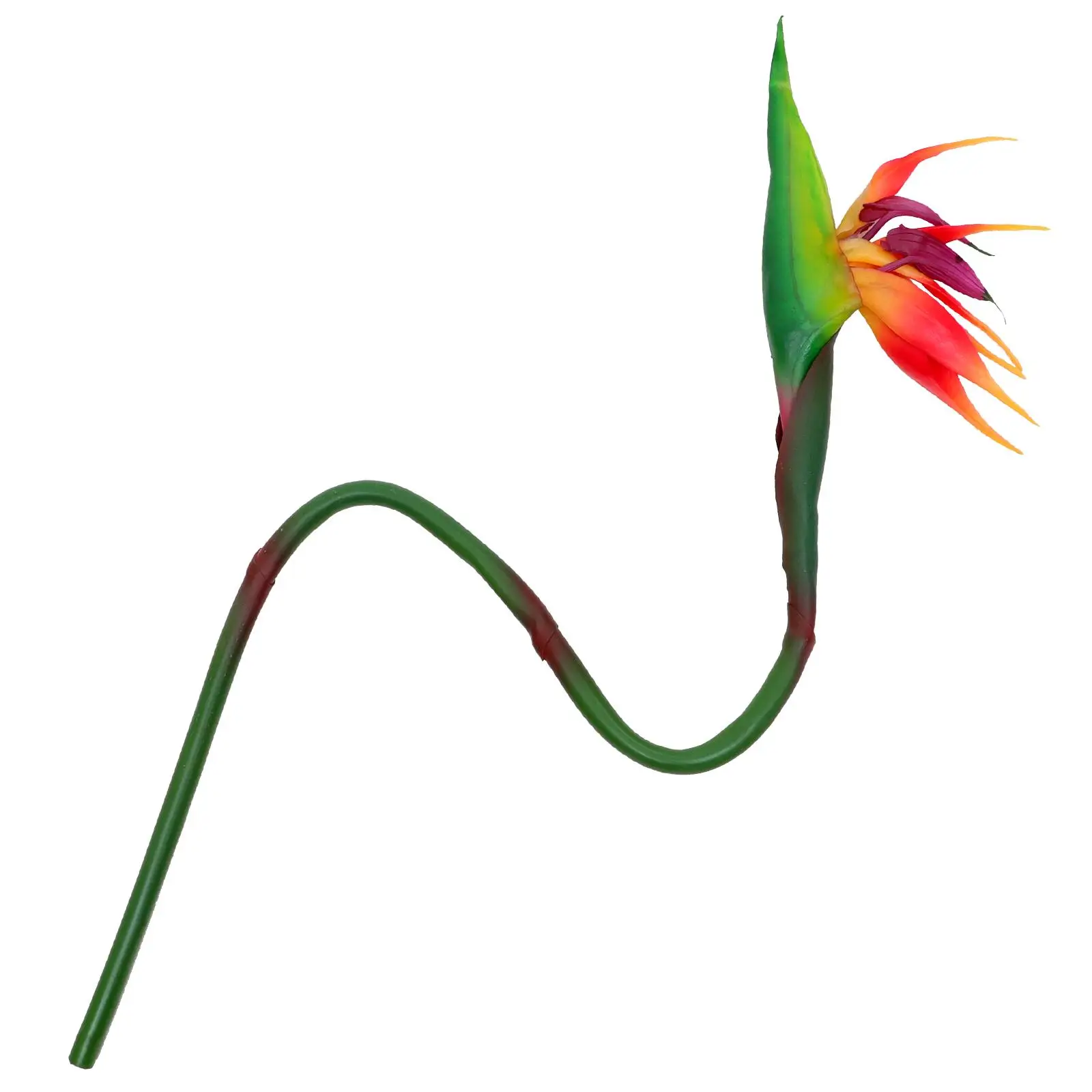 Artificial Flower Decoration Stem Vase Party Flowers Iron Wire Photography Props Tropical Bird Home Adornment Simulation Plant
Artificial Flower Decoration Stem Vase Party Flowers Iron Wire Photography Props Tropical Bird Home Adornment Simulation Plant
