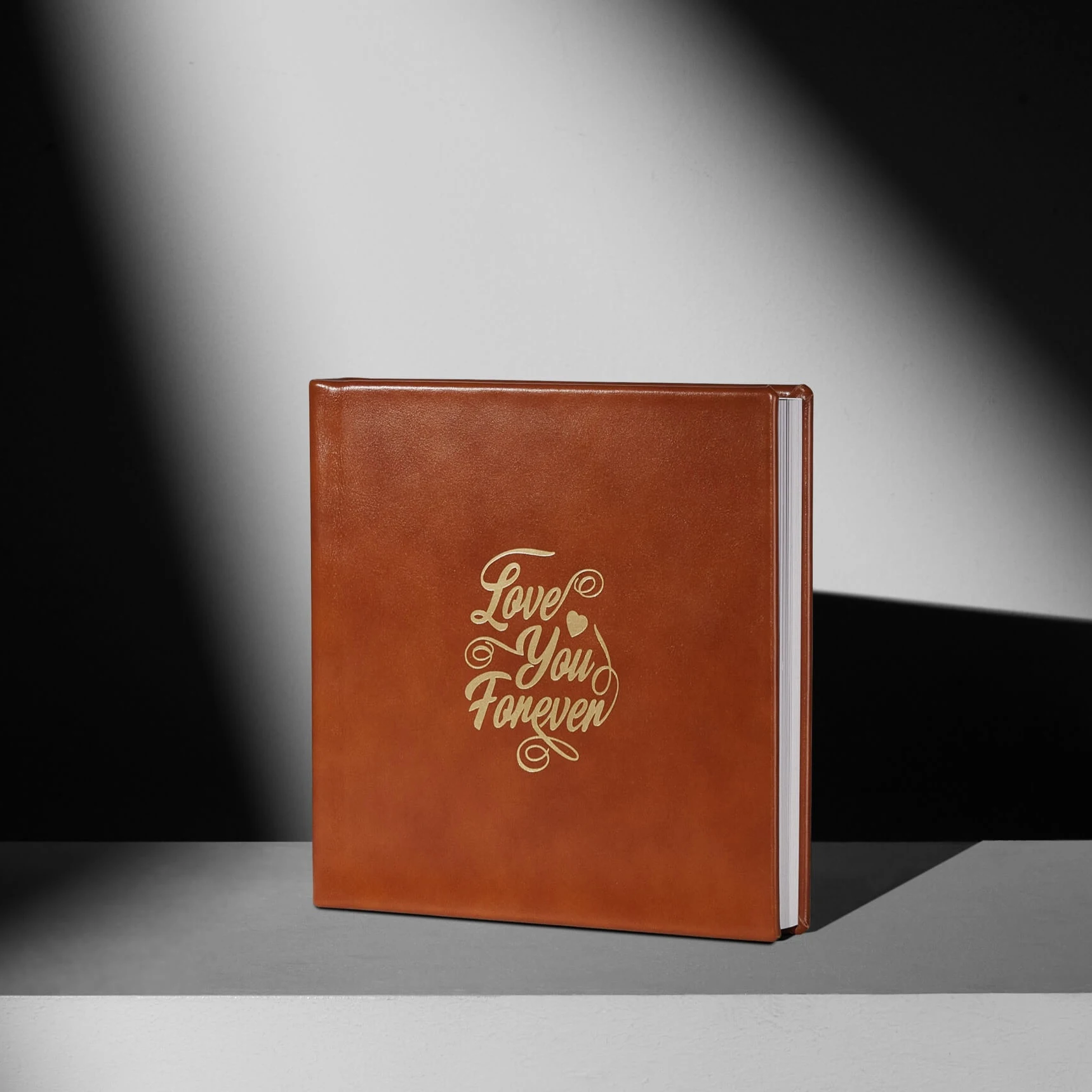 Custom High Quality Cowhide Leather Albums, MOQ: 1pcs, Develop the Photos Service
Custom High Quality Cowhide Leather Albums, MOQ: 1pcs, Develop the Photos Service
