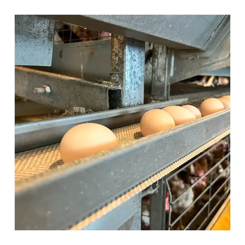 Automatic H-Type 3-Tier 4-Tier Steel Battery Cage for Poultry Laying Hens and Layer Chicken Farm Equipment
Automatic H-Type 3-Tier 4-Tier Steel Battery Cage for Poultry Laying Hens and Layer Chicken Farm Equipment