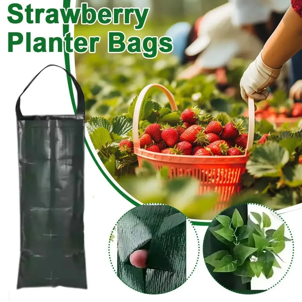 1pc Hanging Strawberry Grow Bags Wall Hanging Planter Home Garden Flower Vegetable Balcony Planting Decoration (1)
1pc Hanging Strawberry Grow Bags Wall Hanging Planter Home Garden Flower Vegetable Balcony Planting Decoration (1)