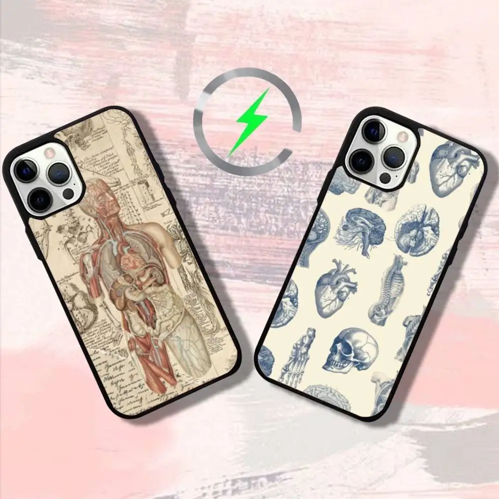 Medical Anatomy Phone Case For iPhone 16,15,14,13,12,11,Pro,Max,Plus,Mini,SE4,E Magnetic Magsafe Wireless Charging
Medical Anatomy Phone Case For iPhone 16,15,14,13,12,11,Pro,Max,Plus,Mini,SE4,E Magnetic Magsafe Wireless Charging