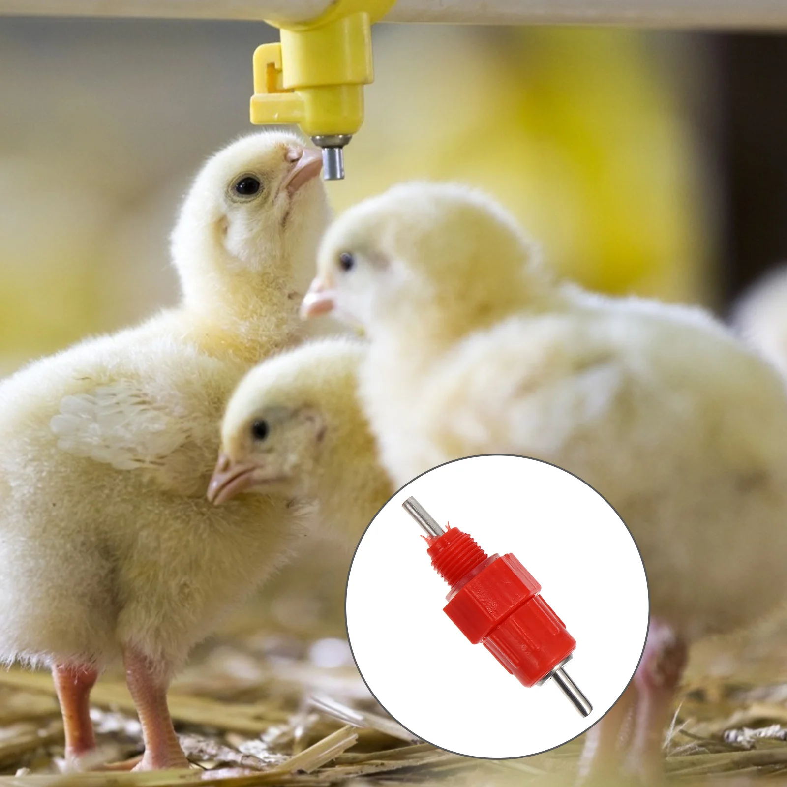 20Pcs Automatic Chicken Water Feeder Durable ABS Material Easy to Clean Practical for Chickens Ducks Quail
20Pcs Automatic Chicken Water Feeder Durable ABS Material Easy to Clean Practical for Chickens Ducks Quail