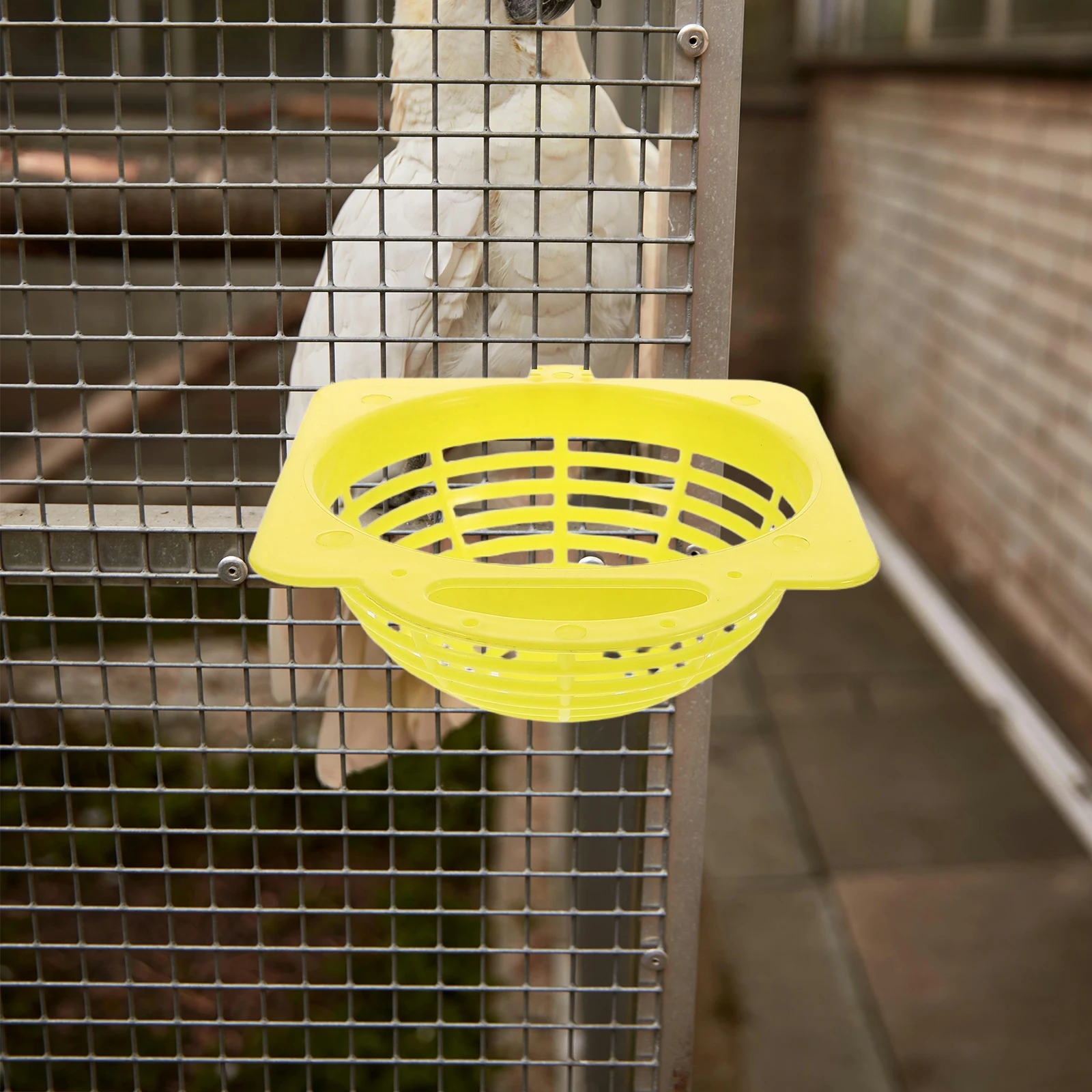 Bird Nest House Breeding Cage for Parakeet Budgie Finch Plastic Cozy Home with Hatching Pan Egg Container Supplies
Bird Nest House Breeding Cage for Parakeet Budgie Finch Plastic Cozy Home with Hatching Pan Egg Container Supplies