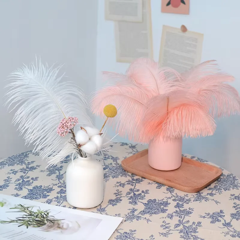 Multi-Size Natural Peacock Eye Ostrich Goose Plume DIY Craft Raw Material Floral Decor Cosplay Headwear Banquet Table Supply
Multi-Size Natural Peacock Eye Ostrich Goose Plume DIY Craft Raw Material Floral Decor Cosplay Headwear Banquet Table Supply