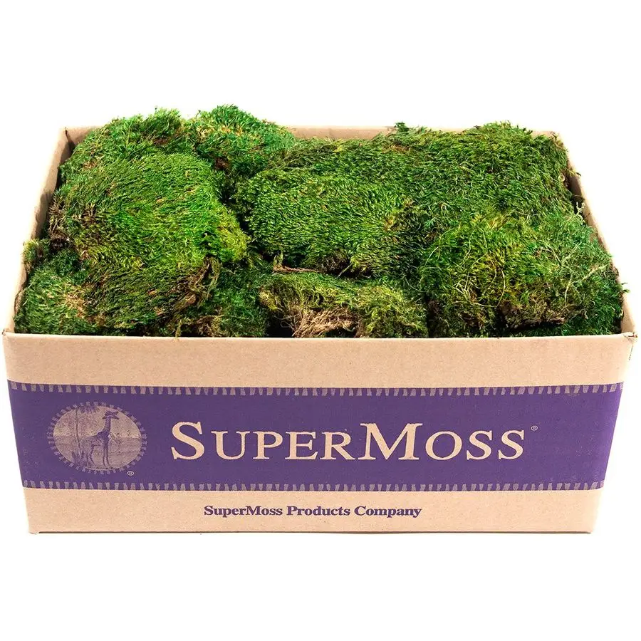 21538 Mood Moss Preserved, Fresh Green, 3 Pounds
21538 Mood Moss Preserved, Fresh Green, 3 Pounds
