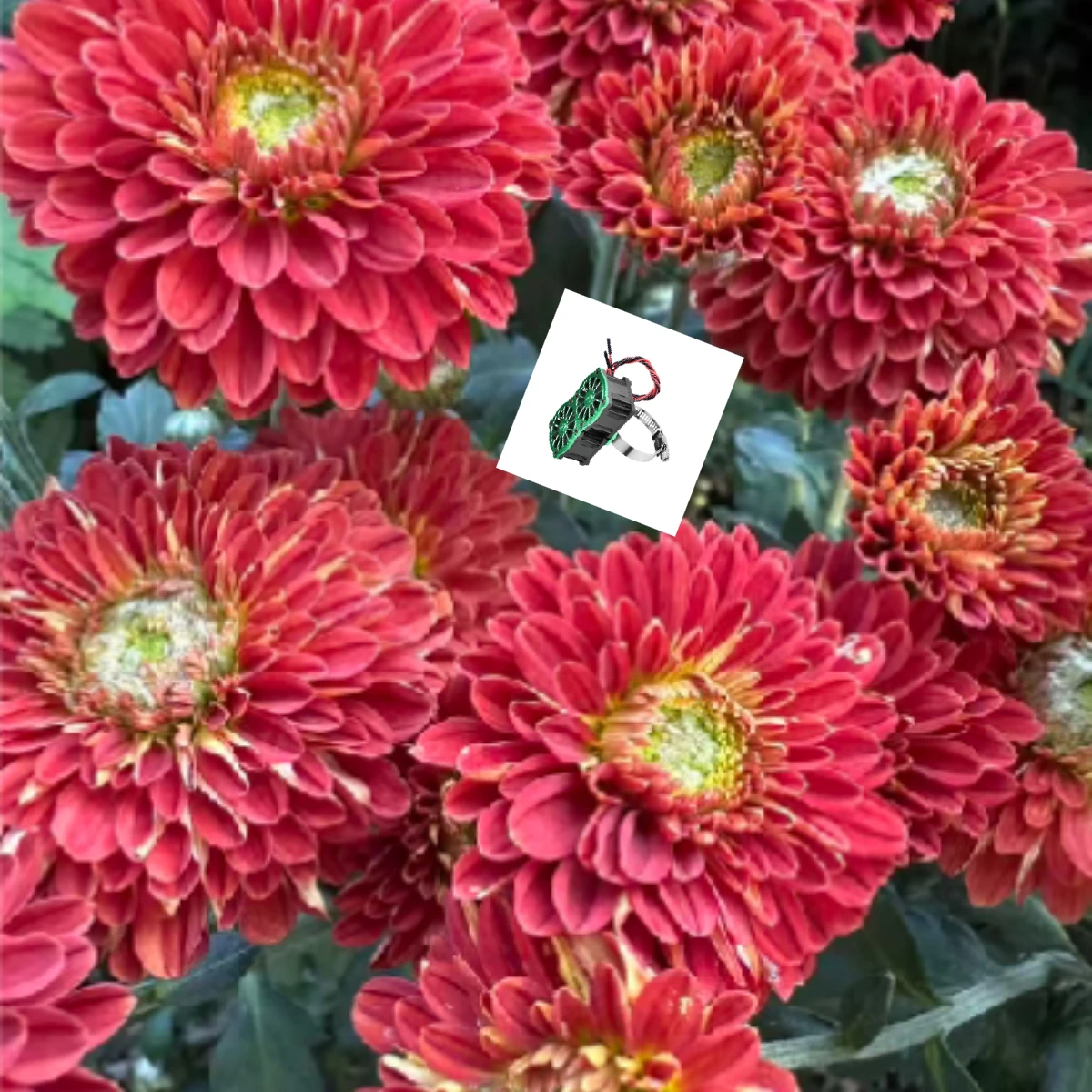 GPM 7075 Сплав + 316 SST Двойной охлаждающий вентилятор 40X28 мм, регулируемый для двигателя серии 40-56
GPM 7075 Сплав + 316 SST Двойной охлаждающий вентилятор 40X28 мм, регулируемый для двигателя серии 40-56