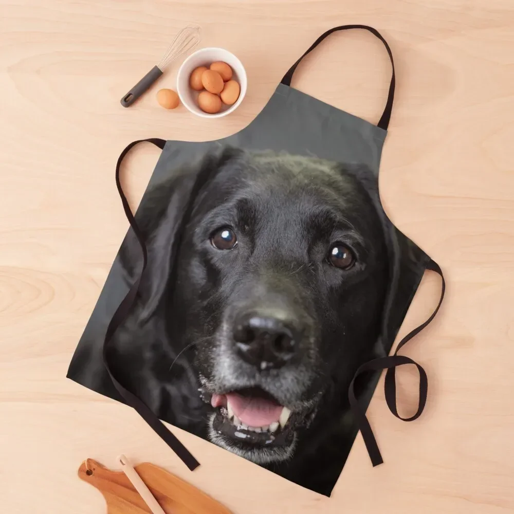 smiling black lab #1 Apron Men kitchen Kitchen Chef kitchen woman man chef uniform Apron
smiling black lab #1 Apron Men kitchen Kitchen Chef kitchen woman man chef uniform Apron