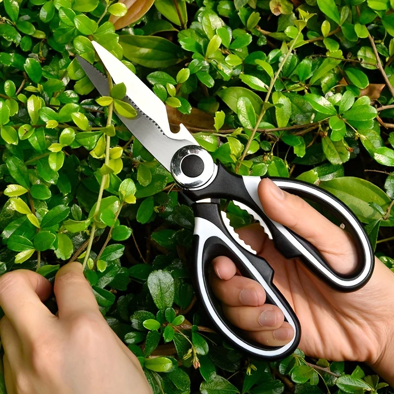 Versatile Kitchen Scissors Designed for Heavy-Duty Use, Featuring a Protective Cover For, Comfortable Grip, Stainless Steel
Versatile Kitchen Scissors Designed for Heavy-Duty Use, Featuring a Protective Cover For, Comfortable Grip, Stainless Steel