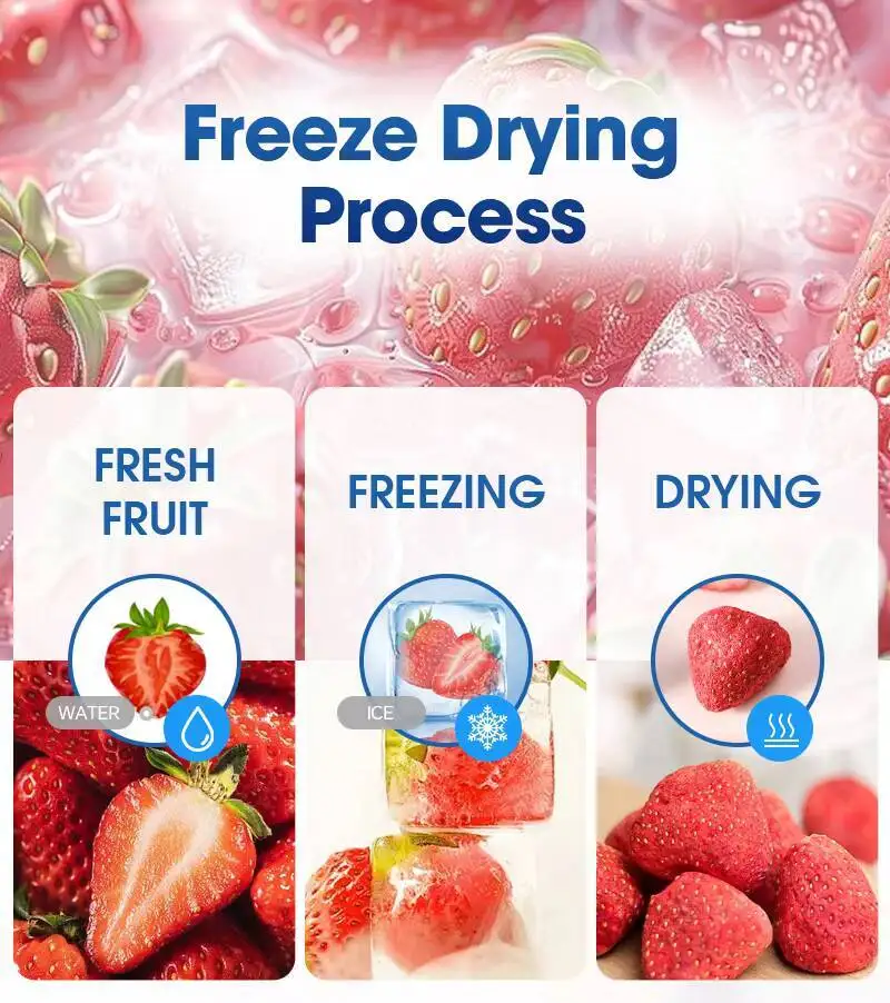 4kg 6kg 10kg 20kg Automatic Vacuum Food Dryer Home Lyophilizer
4kg 6kg 10kg 20kg Automatic Vacuum Food Dryer Home Lyophilizer