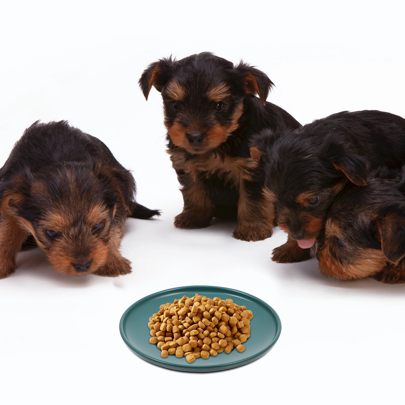 Ceramic Cat Bowl Household Protective Shallow Dish Pet Supply Anti-Skid Cat Feeding Dish Household Bowl Pet Accessory
Ceramic Cat Bowl Household Protective Shallow Dish Pet Supply Anti-Skid Cat Feeding Dish Household Bowl Pet Accessory