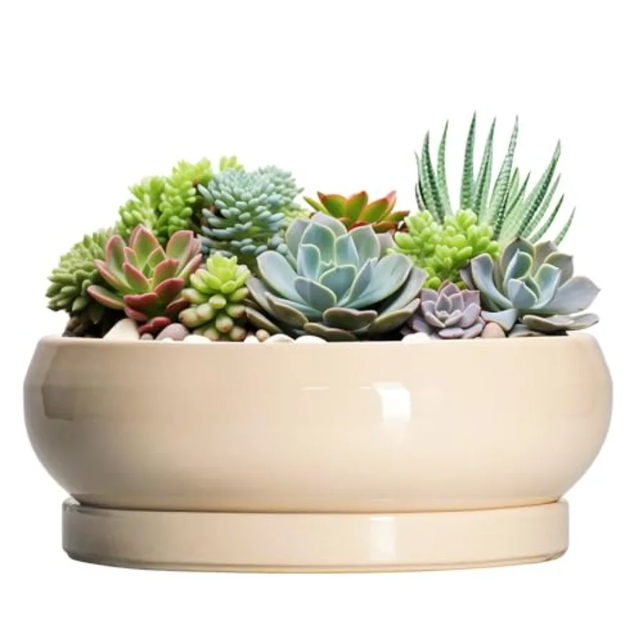 Large Succulent Planters - Ceramic Bonsai Pots Indoor Outdoor Shallow Planter with Drainage Hole and Tray Round Planter Bowl La
Large Succulent Planters - Ceramic Bonsai Pots Indoor Outdoor Shallow Planter with Drainage Hole and Tray Round Planter Bowl La