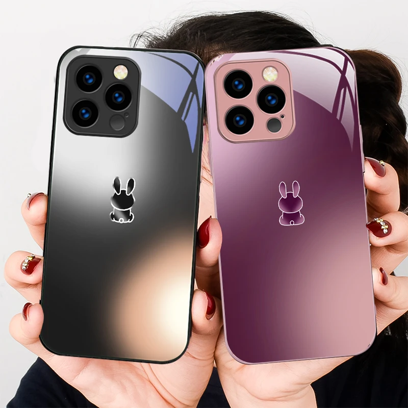 Gradient Blue Rabbit Back For iPhone 16 E 15 14 13 Plus 12 mini 11 Pro Max 11Pro XR Xs X 7 8 P lus 16E Tempered Glass Phone Case
Gradient Blue Rabbit Back For iPhone 16 E 15 14 13 Plus 12 mini 11 Pro Max 11Pro XR Xs X 7 8 P lus 16E Tempered Glass Phone Case