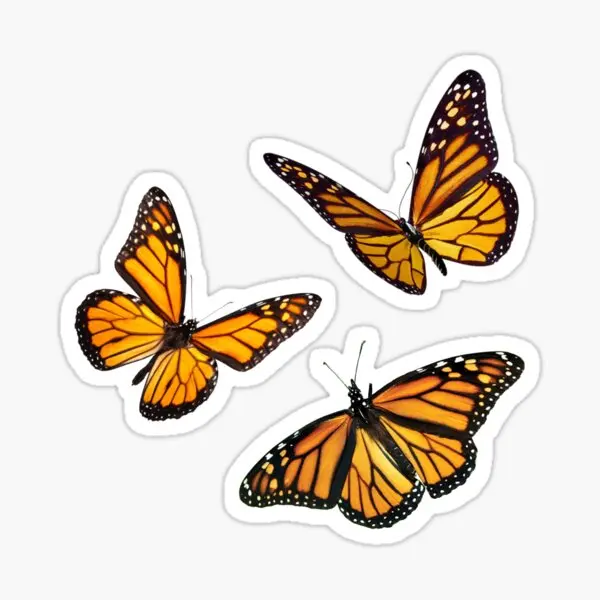 Набор оранжевых наклеек Monarch с бабочкой, 5 шт., наклейки для автомобиля, багажа, фона, бутылки для воды, Настенный декор, милое художественное окно для комнаты
Набор оранжевых наклеек Monarch с бабочкой, 5 шт., наклейки для автомобиля, багажа, фона, бутылки для воды, Настенный декор, милое художественное окно для комнаты