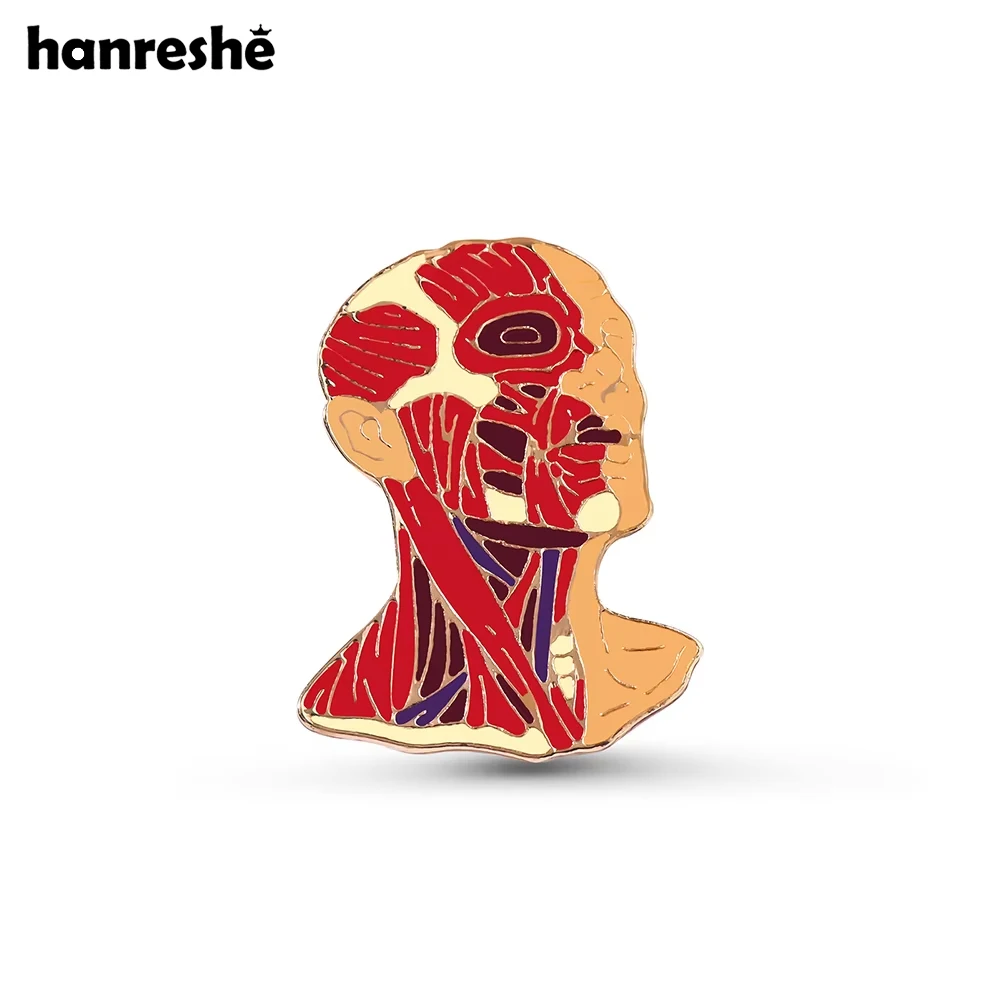 Hanreshe Anatomy Head Muscle Line Enamel Pin Medical Lapel Backpack Bag Badge Doctor Nurse Brooch Medicine Jewelry Gifts
Hanreshe Anatomy Head Muscle Line Enamel Pin Medical Lapel Backpack Bag Badge Doctor Nurse Brooch Medicine Jewelry Gifts