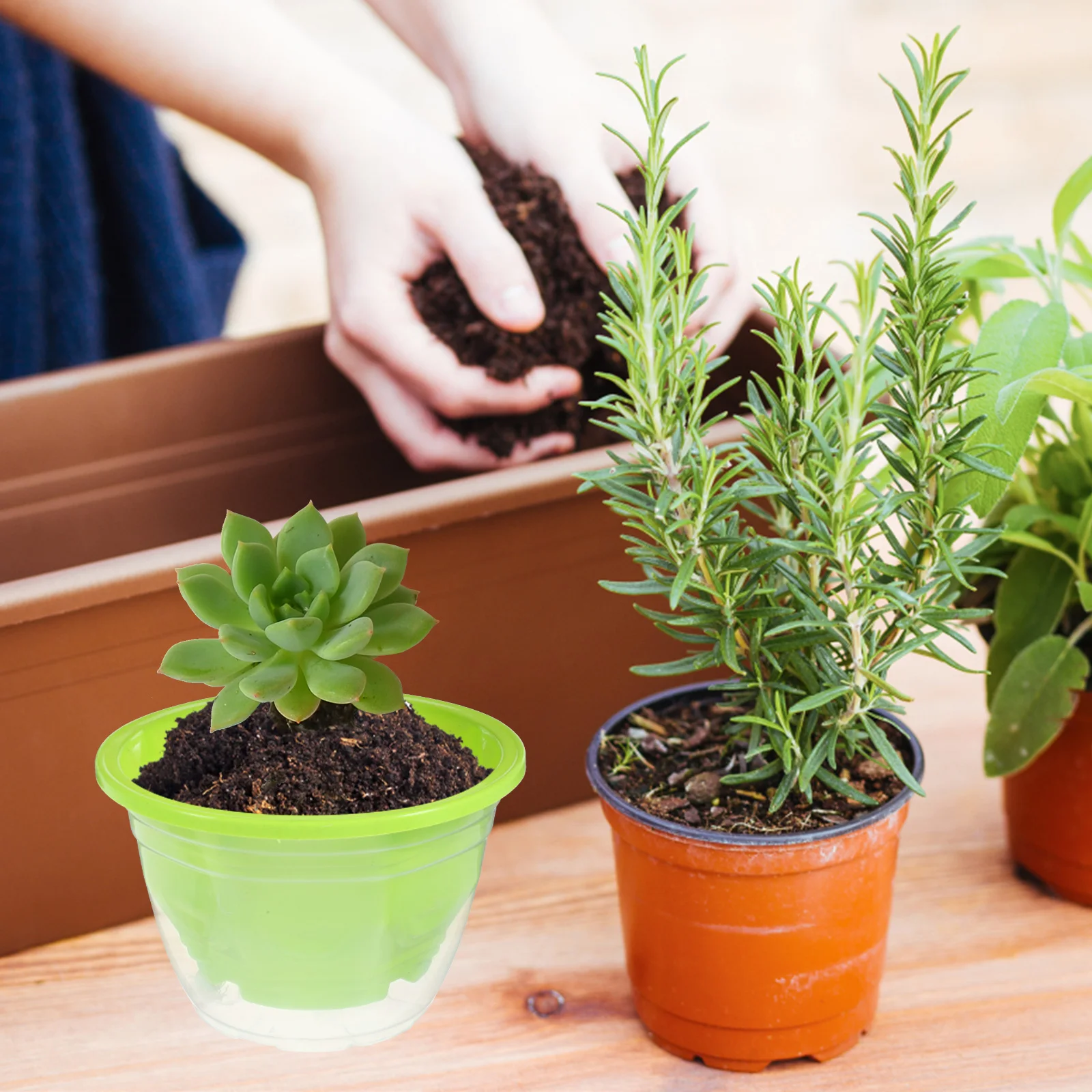 6 Sets Automatic Water Absorbent Flower Pot Indoor Plant Pots Watering Self Planter Hydroponics Plastic Planters Office
6 Sets Automatic Water Absorbent Flower Pot Indoor Plant Pots Watering Self Planter Hydroponics Plastic Planters Office
