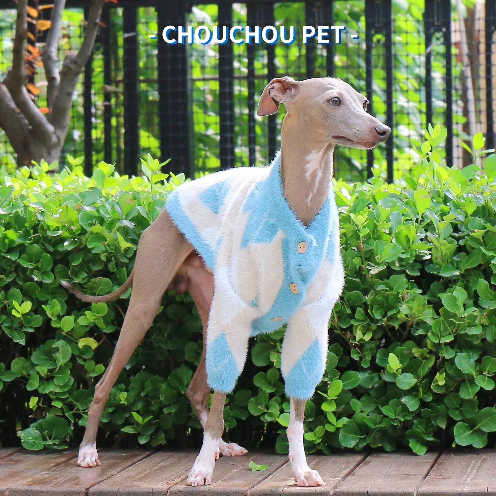 New autumn/winter pet sweater, classic diamond pattern, stylish Italian Greyhound iggy dog sweater.
New autumn/winter pet sweater, classic diamond pattern, stylish Italian Greyhound iggy dog sweater.