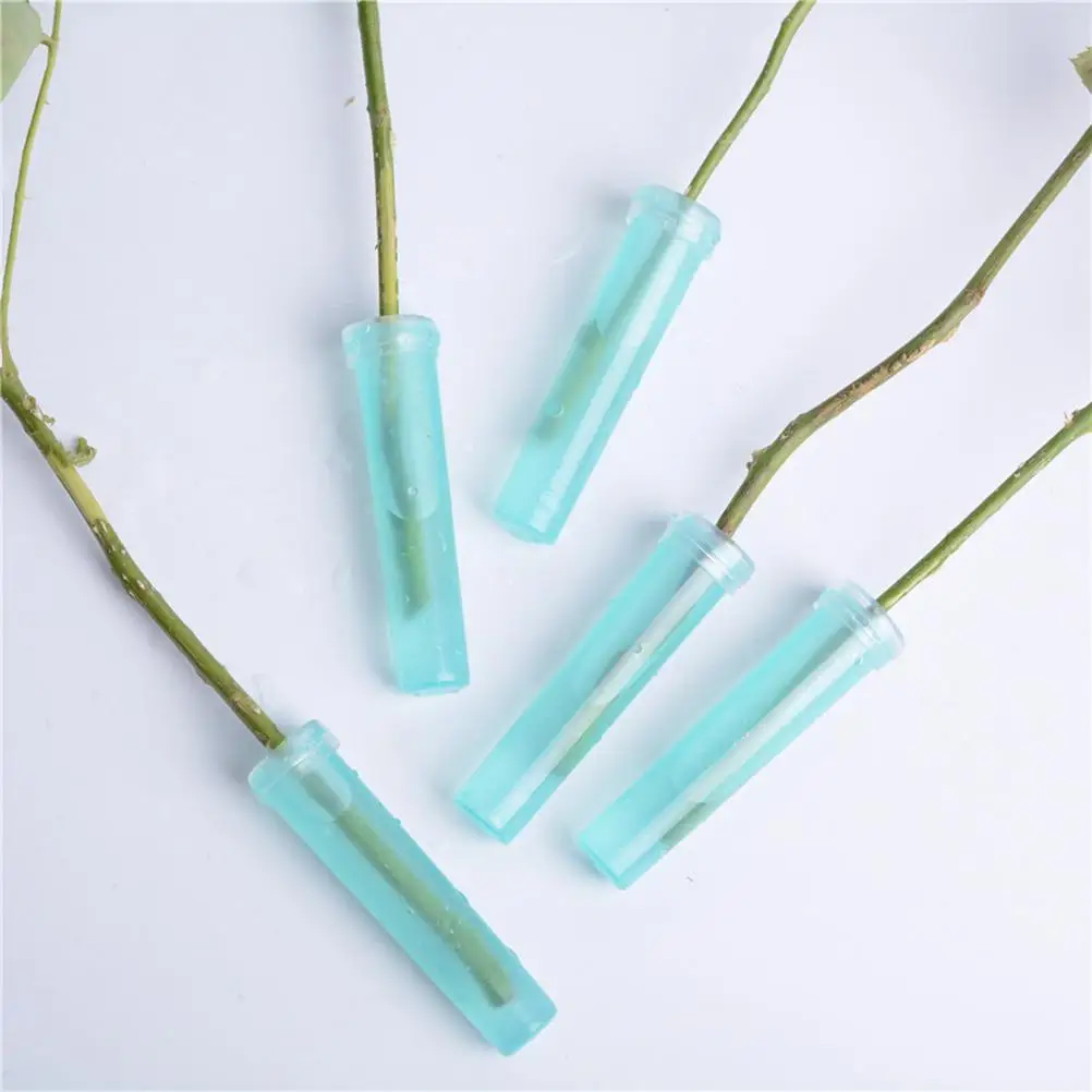 100pcs Floral Water Tube for Fresh Flowers Preservation Leak Free Rubber Cap Storage Flower Shop Supplies Accessories
100pcs Floral Water Tube for Fresh Flowers Preservation Leak Free Rubber Cap Storage Flower Shop Supplies Accessories
