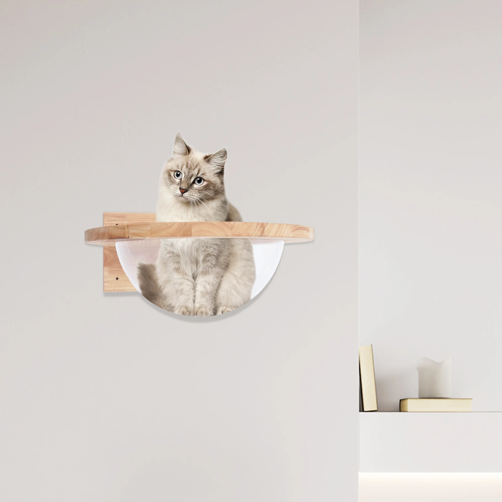 44Lbs Cat Space Capsule Cat Bed Transparent Capsule Cat Wall Shelves Clear Cat Bed EO environmental grade Thai rubber wood
44Lbs Cat Space Capsule Cat Bed Transparent Capsule Cat Wall Shelves Clear Cat Bed EO environmental grade Thai rubber wood