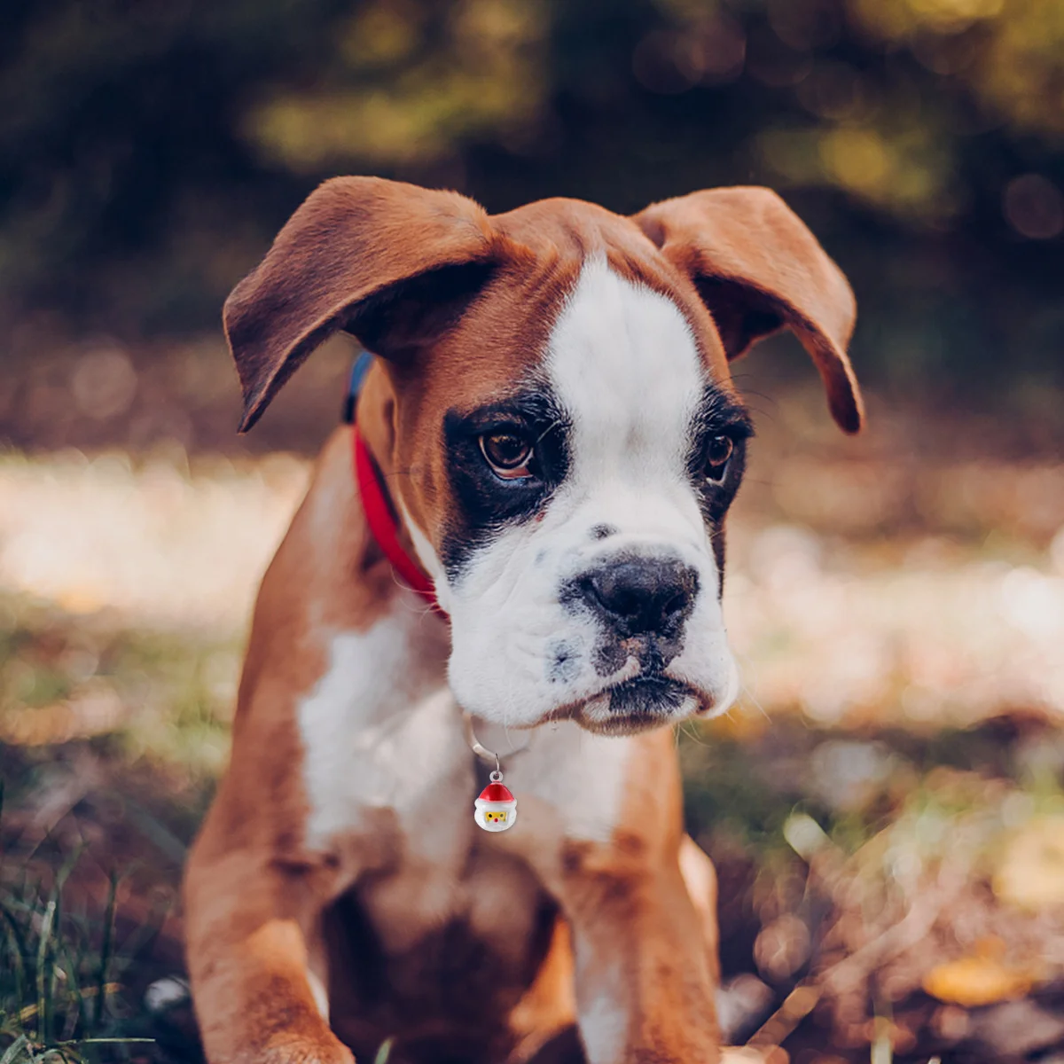 10Pcs Santa Claus Design Pet Bells Iron Mini Bell Pendant Quick Release Buckle Dog Cat Collar Accessories Pet Bells
10Pcs Santa Claus Design Pet Bells Iron Mini Bell Pendant Quick Release Buckle Dog Cat Collar Accessories Pet Bells