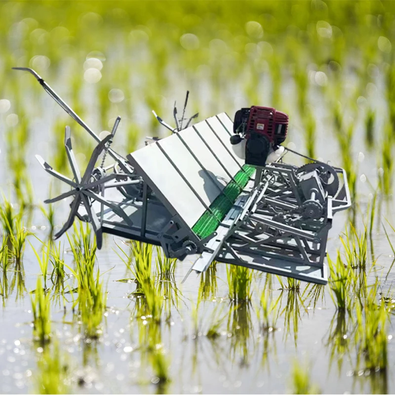 6 Row Riding on Walking Rice Transplanter Paddy Rice Planter Machine New Style Rice Irri 6 Pakistan 23cm
6 Row Riding on Walking Rice Transplanter Paddy Rice Planter Machine New Style Rice Irri 6 Pakistan 23cm