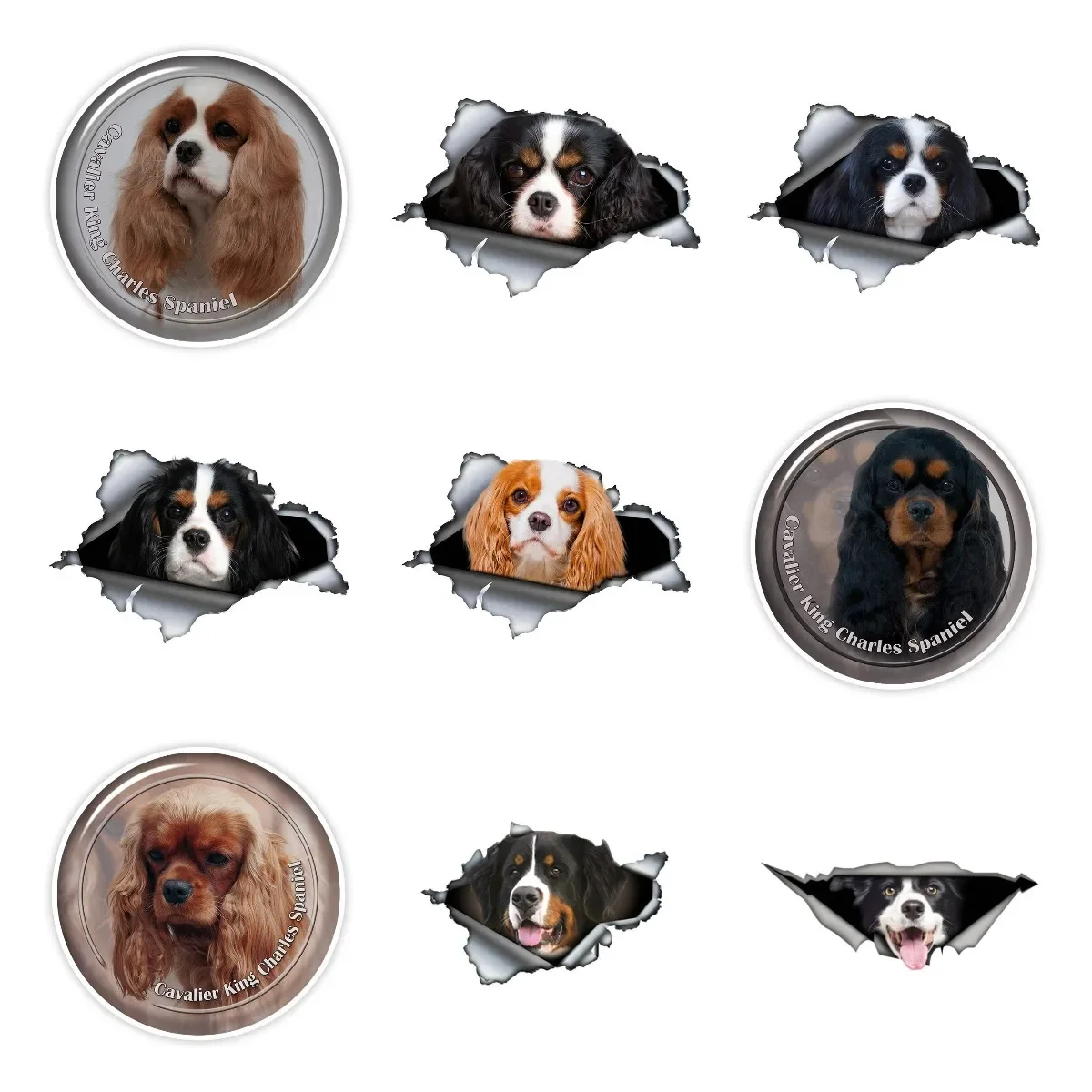 Springer Spaniel Cavalier King Charles Dog Car Sticker on Motorcycle Laptop Decor Accessories Vinyl Waterproof Material Decals
Springer Spaniel Cavalier King Charles Dog Car Sticker on Motorcycle Laptop Decor Accessories Vinyl Waterproof Material Decals