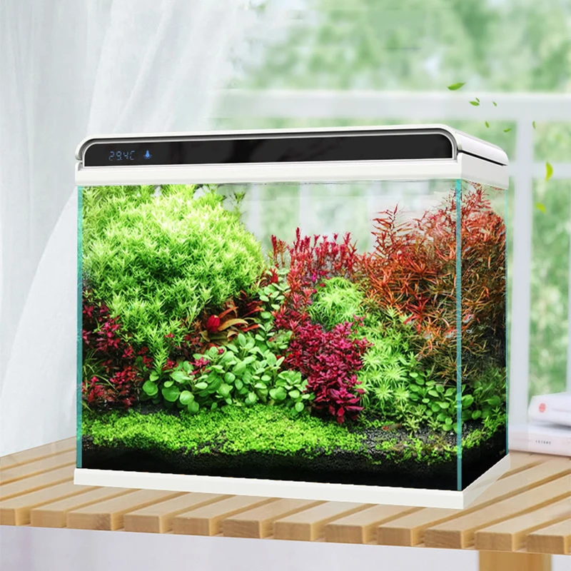 Thickened Square Mini Fish Tank Glass Office Desk Living Room Creative Fish Tank Ecological Small Betta Pecera Indoor Supplies
Thickened Square Mini Fish Tank Glass Office Desk Living Room Creative Fish Tank Ecological Small Betta Pecera Indoor Supplies