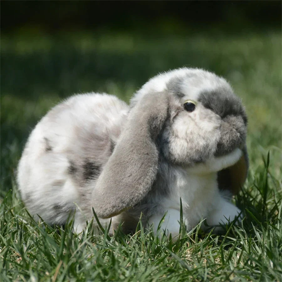 Lop Ear Rabbit High Fidelity Аниме Милый Белый Коричневый Кролик Плюшевые Игрушки Реалистичные Животные Моделирование Мягкая Кукла Игрушки Подарки Для Детей
Lop Ear Rabbit High Fidelity Аниме Милый Белый Коричневый Кролик Плюшевые Игрушки Реалистичные Животные Моделирование Мягкая Кукла Игрушки Подарки Для Детей