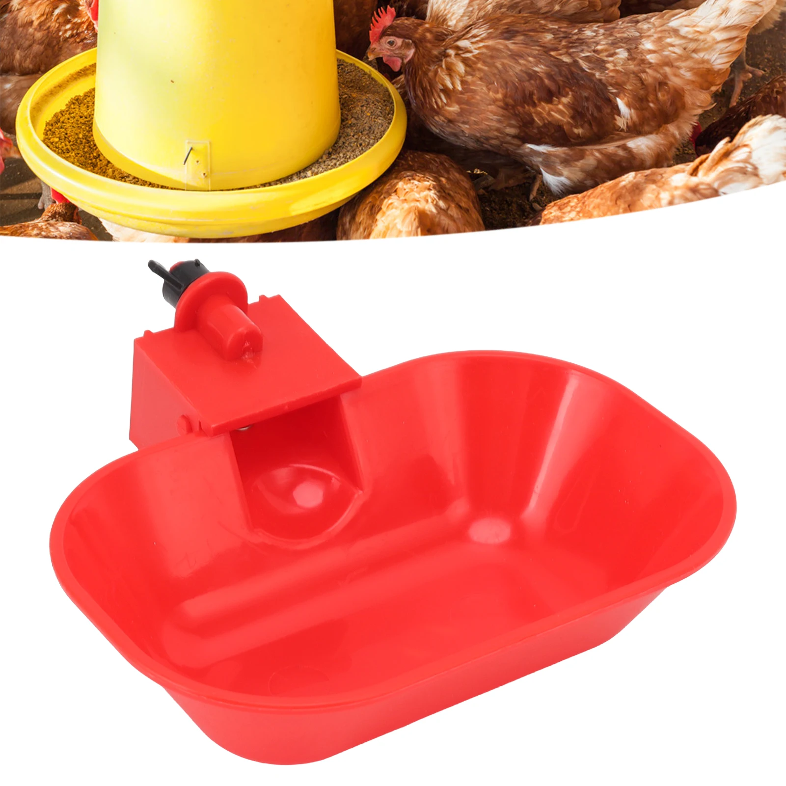 6PCS Automatic Poultry Drinking Bowls Large Thickening ABS Waterer Bowl For Cat Dog Chicken Duck G1/8 Male Thread
6PCS Automatic Poultry Drinking Bowls Large Thickening ABS Waterer Bowl For Cat Dog Chicken Duck G1/8 Male Thread