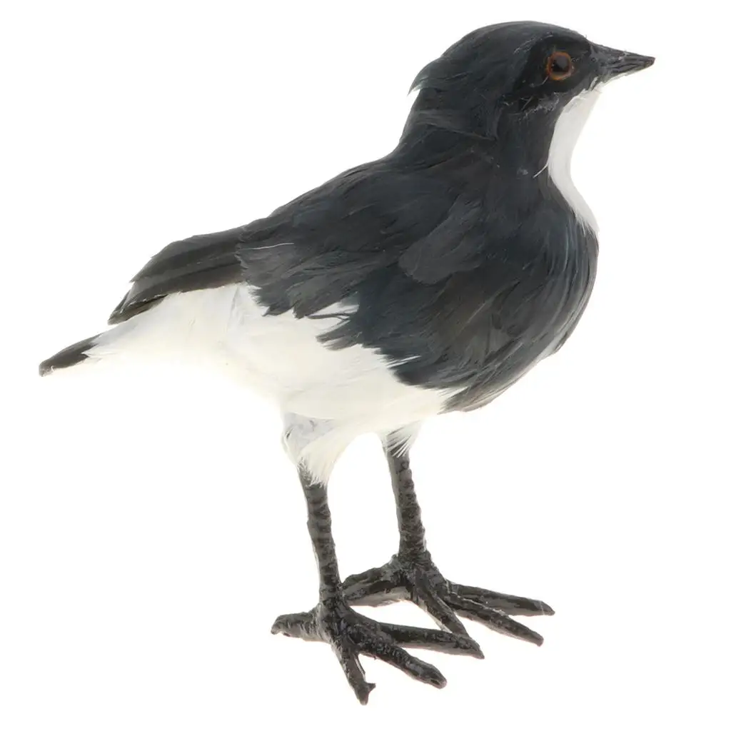 Cute Animal Model Figures Home Table Office Decor Educational Toy Teaching Aid -Butcherbird Black
Cute Animal Model Figures Home Table Office Decor Educational Toy Teaching Aid -Butcherbird Black