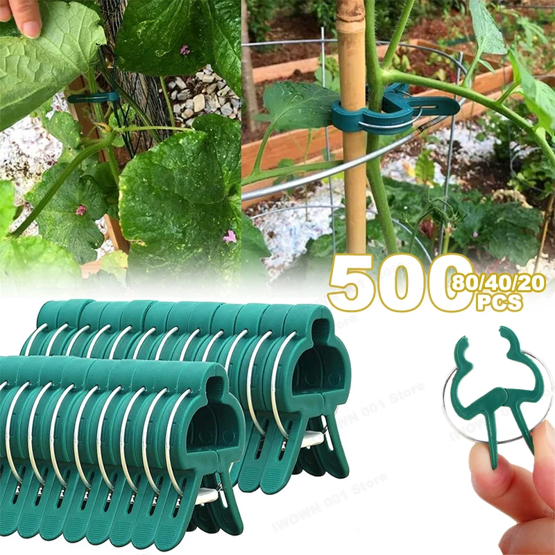 Plant Fixed Clips Reusable Garden Greenhouse Bracket for Fixed Plants Vine Flower Seedling Tomatoes Support Garden Supplies
Plant Fixed Clips Reusable Garden Greenhouse Bracket for Fixed Plants Vine Flower Seedling Tomatoes Support Garden Supplies