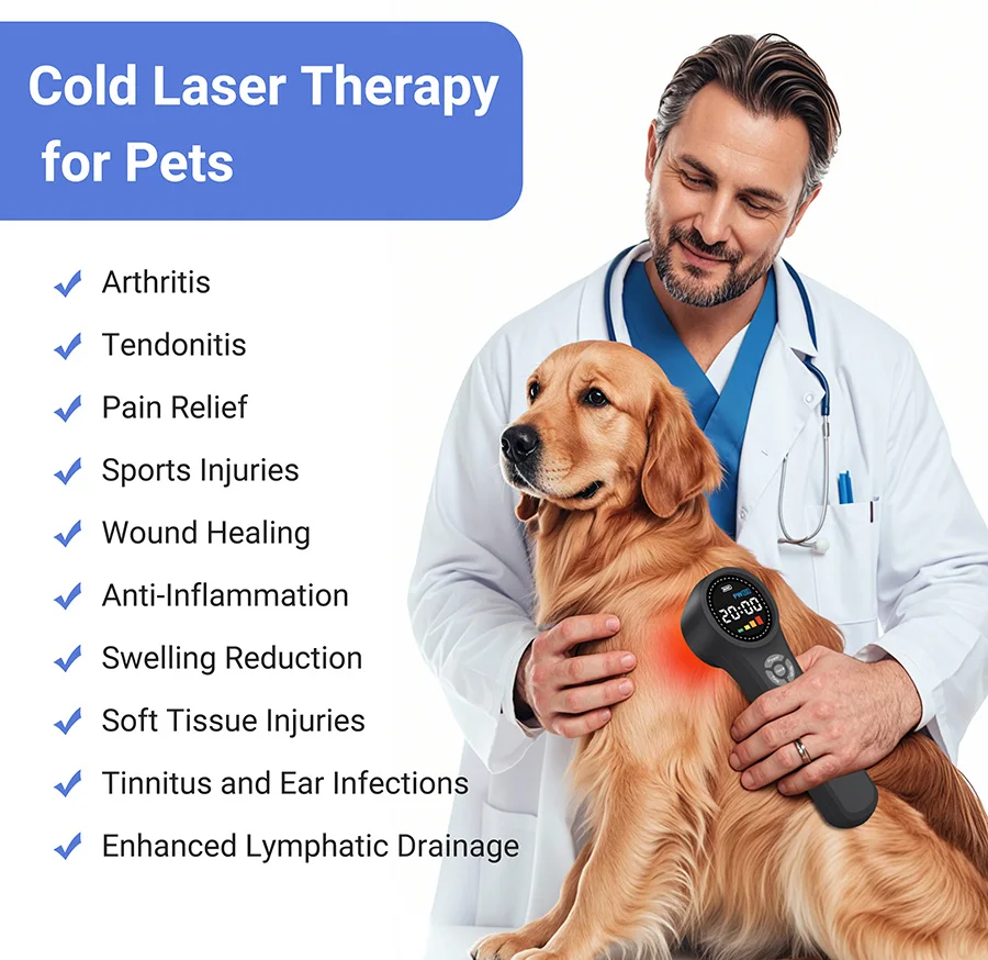 2026 3 Wavelengths Physiotherapy Class Iv Laser Pbm Therapy Health Care Equipment 980n 810nm 660nm 1760mW for Pain Relief
2026 3 Wavelengths Physiotherapy Class Iv Laser Pbm Therapy Health Care Equipment 980n 810nm 660nm 1760mW for Pain Relief