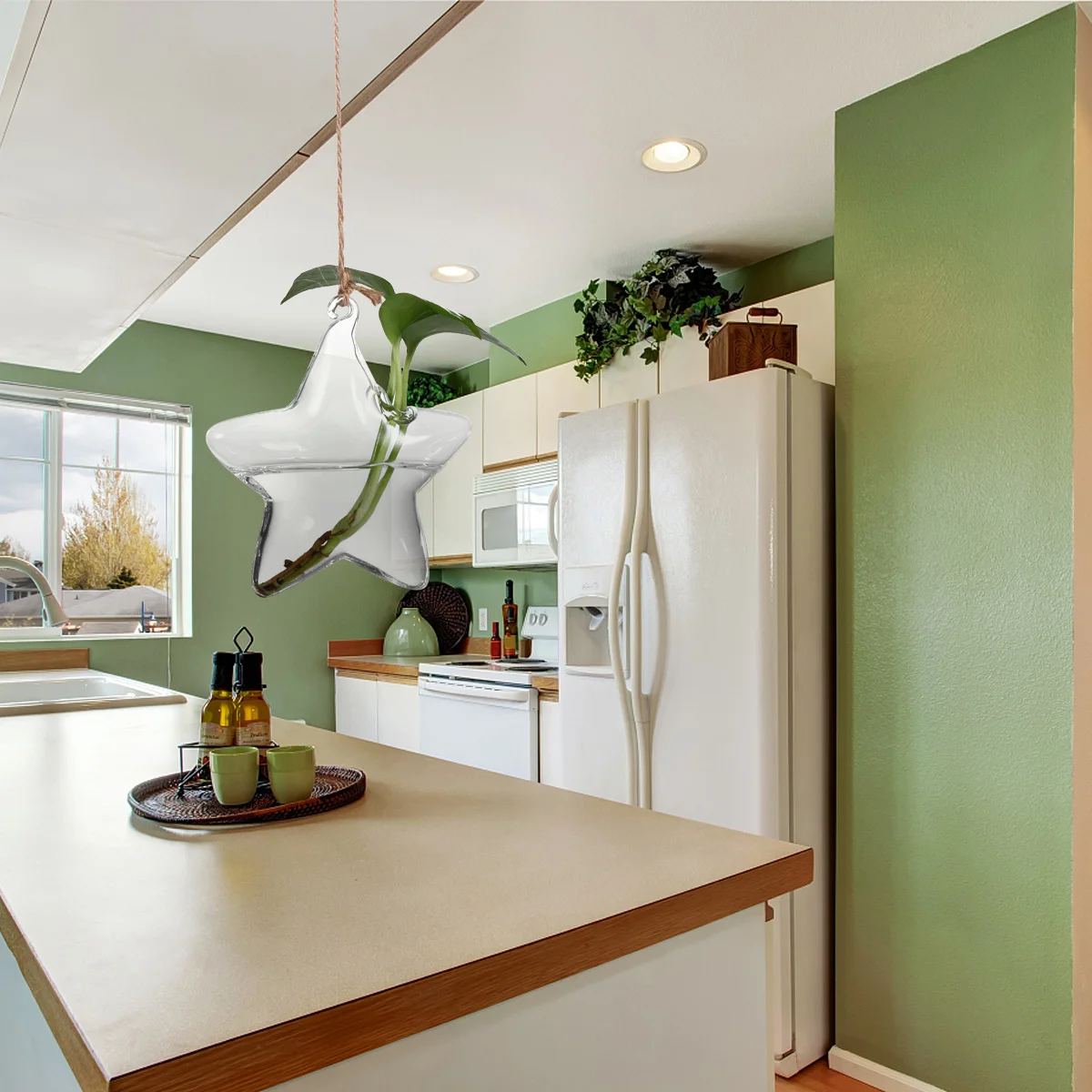 1Pcs Sea Star Shape Hanging Glass Planter Vase Durable Water Saving Glass Container for Miniature Garden Home Office Decor
1Pcs Sea Star Shape Hanging Glass Planter Vase Durable Water Saving Glass Container for Miniature Garden Home Office Decor