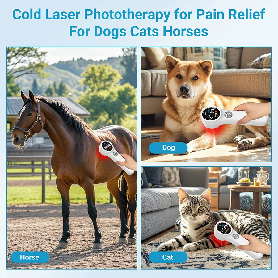 NEW2026 Class 4 Laser Therapy Machine High Power 1760mW Diode Laser System for Physiotherapy Pain Relief Rehabilitation Professi
NEW2026 Class 4 Laser Therapy Machine High Power 1760mW Diode Laser System for Physiotherapy Pain Relief Rehabilitation Professi