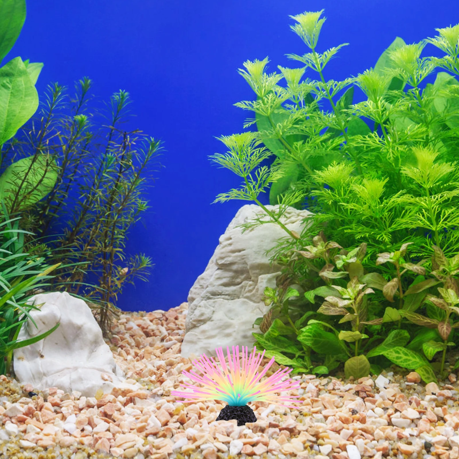 Simulated Sea Urchin Fish Tank Decoration Aquarium Water Grass Theme Decorations Plant Fake Artificial Plants Luminous
Simulated Sea Urchin Fish Tank Decoration Aquarium Water Grass Theme Decorations Plant Fake Artificial Plants Luminous