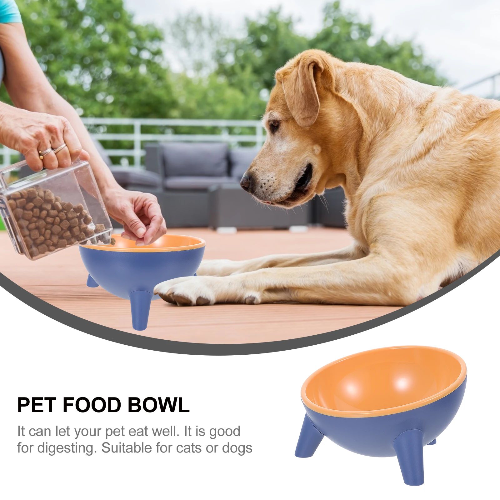 Stable Cat Feeding Resin Anti-Slip Pet Water Bowl Multi-Function Dog Feeder Eco-Friendly Food Dispenser For Cats Dogs Pet Bowl
Stable Cat Feeding Resin Anti-Slip Pet Water Bowl Multi-Function Dog Feeder Eco-Friendly Food Dispenser For Cats Dogs Pet Bowl