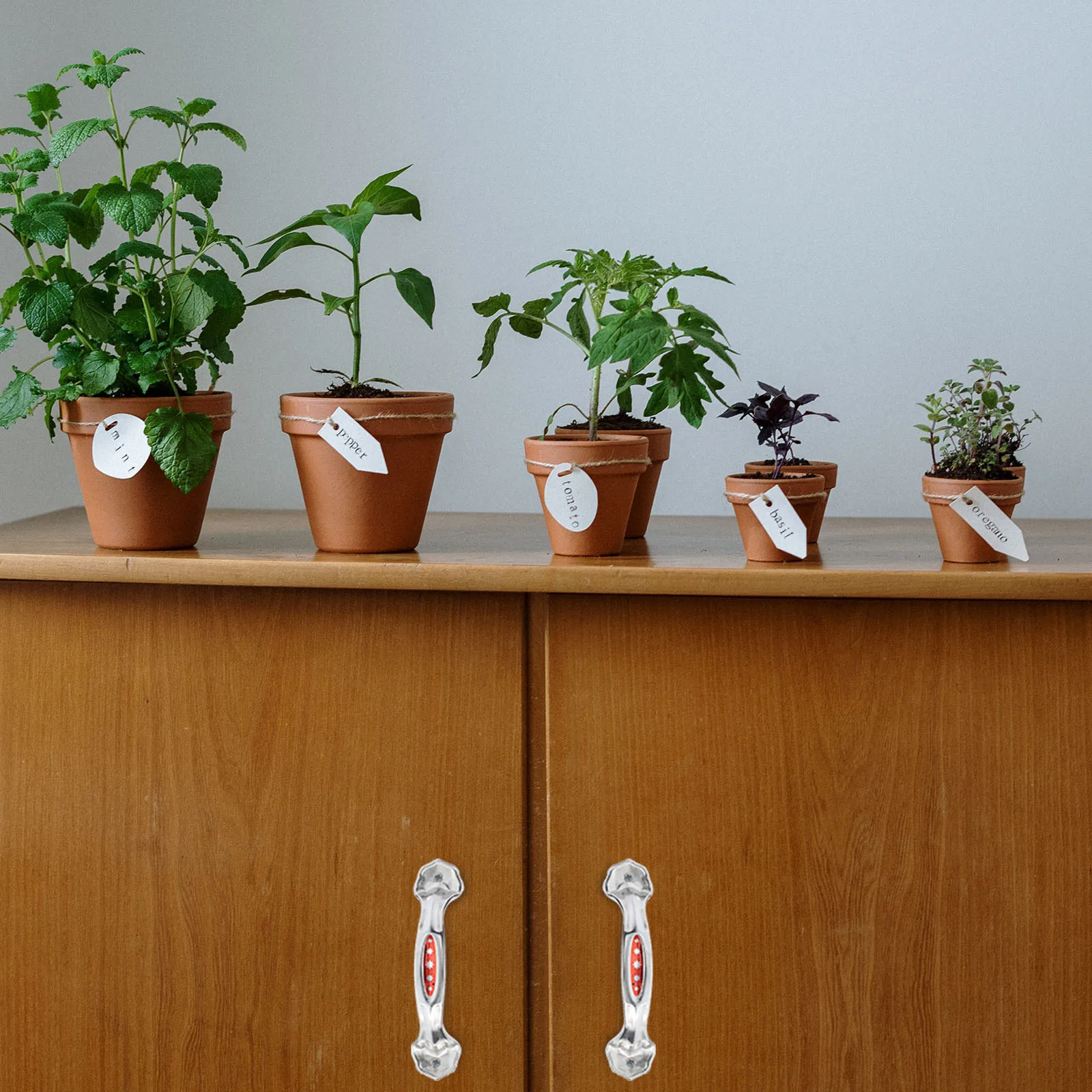 20Pcs Minimalist Pull Handle Stainless Steel Star Drawer Knob Cabinet Hardware Modern Furniture Door Handle for Warehouse Door
20Pcs Minimalist Pull Handle Stainless Steel Star Drawer Knob Cabinet Hardware Modern Furniture Door Handle for Warehouse Door