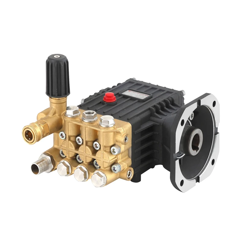 High Pressure Washer Parts Automatic Control Pump Manufacturers Custom Pump Watering Automatic Pump
High Pressure Washer Parts Automatic Control Pump Manufacturers Custom Pump Watering Automatic Pump