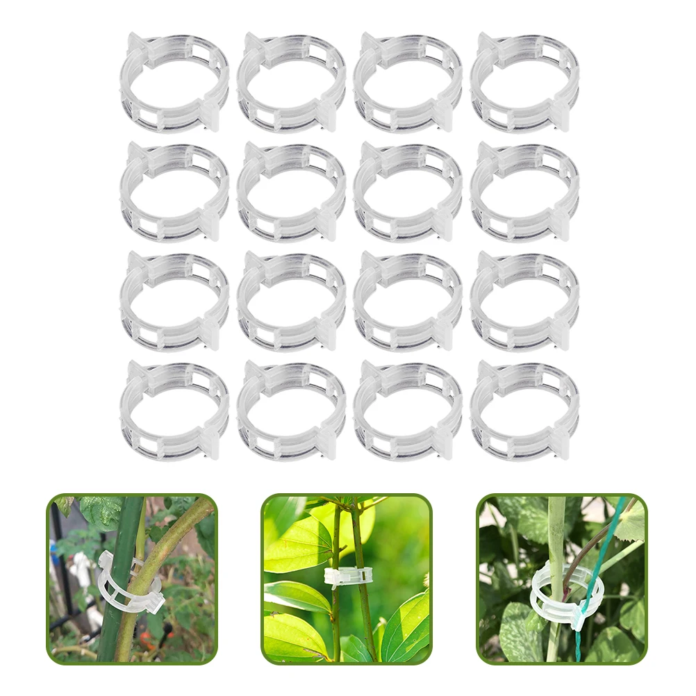300pcs Plant Clips Garden Support Grafting Vine chid Wall Growth Aid Fastener Durable Lightweight Gardening Tool Practical
300pcs Plant Clips Garden Support Grafting Vine chid Wall Growth Aid Fastener Durable Lightweight Gardening Tool Practical
