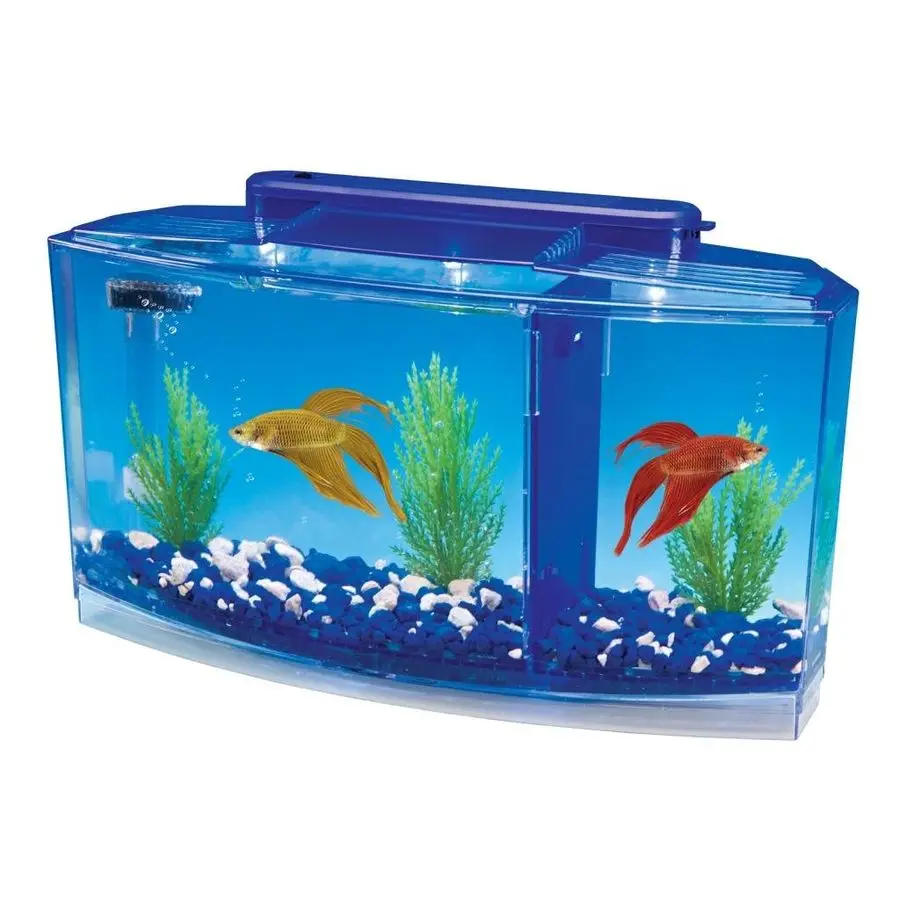 Аквариум Deluxe Triple Betta Bow с фильтром под грунт и пластиковыми растениями, 0,7 галлона
Аквариум Deluxe Triple Betta Bow с фильтром под грунт и пластиковыми растениями, 0,7 галлона