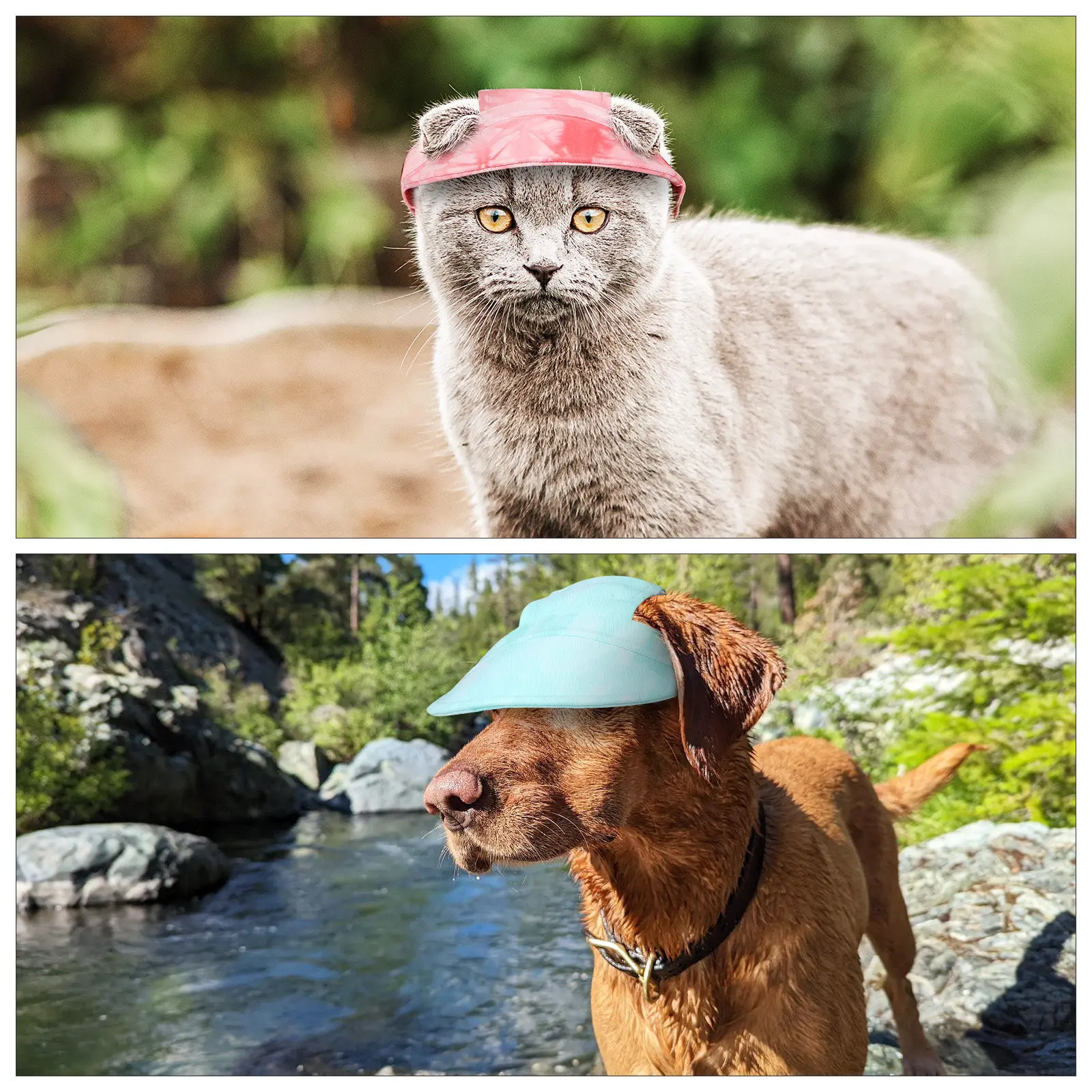 2Pcs Pet Sun Visor Hat Tie-Dye Adjustable Neck Strap Dog Sun Protection Baseball Cap Outdoor Summer Travel Walking
2Pcs Pet Sun Visor Hat Tie-Dye Adjustable Neck Strap Dog Sun Protection Baseball Cap Outdoor Summer Travel Walking